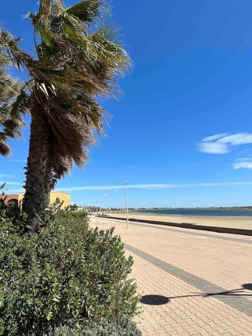 Studio Cosy A Deux Pas De La Plage ! Gruissan Exterior photo